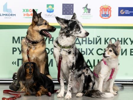 We announce the winners of the "Popular Vote"!